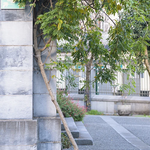 Accueil Marie Saint-Frai